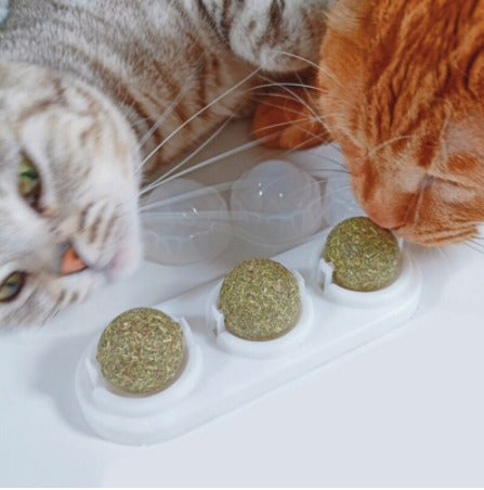 🐱 MiauMint | Catnip Natural para Gato + Envio Gratis