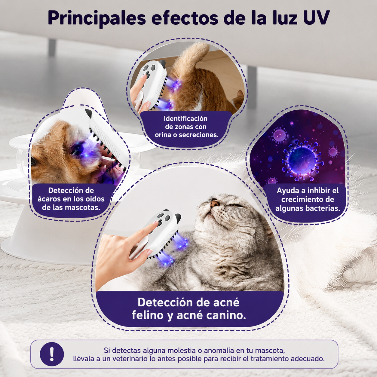 🐾 SteamGlow | Cepillo a Vapor con Luz UV para Mascota+ Envio Gratis